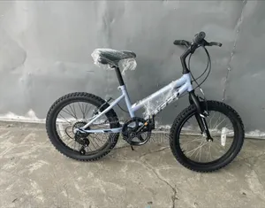 Huffy Children Bicycle