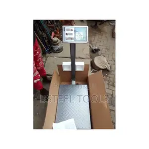 300kg Digital Platform Scale