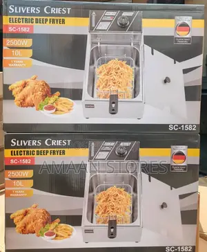 Electric Deep Fryer—10litre