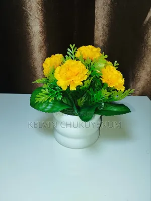 Aesthetic Flowers