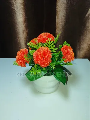 Aesthetic Flowers