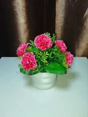 Aesthetic Flowers