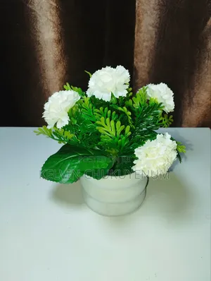 Aesthetic Flowers