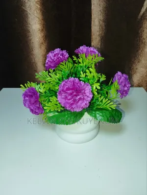 Aesthetic Flowers