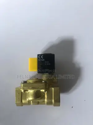 Steam Solenoid Valve
