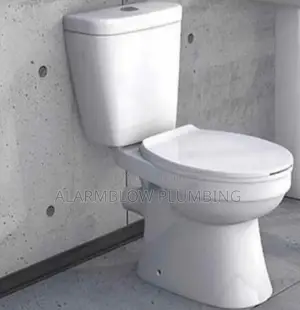 Two-Piece Ceramic Water Closet Toilet Seat and Tank
