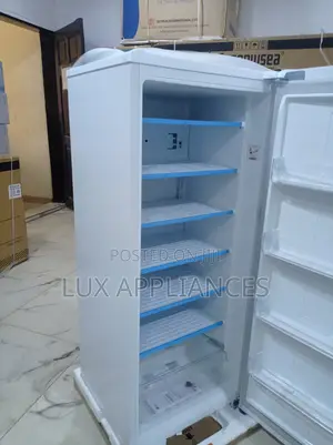 Lg 168l Freezer With Multiple Drawers