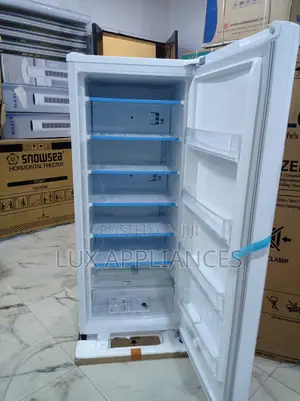 Lg 168l Kitchen Upright Freezer