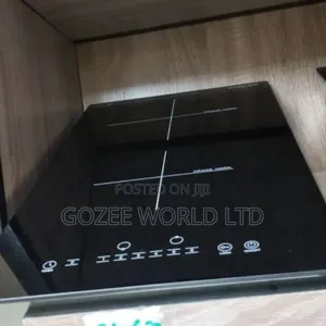 2 Burner Induction Hotplate