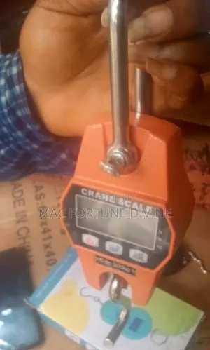 300kg Digital Crane Scale