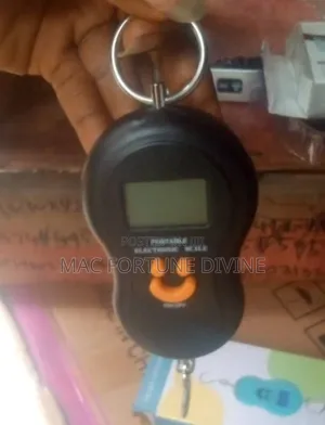 50kg Portable Electronic Digital Hook Scale