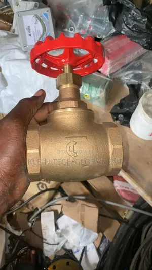Original Bronze Globe Valve