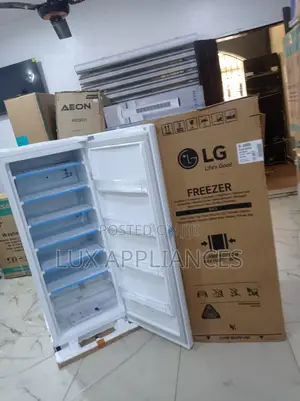 Lg 168l Commercial Upright Freezer