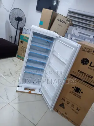 Lg Upright Freezer for Mini Mart 168l