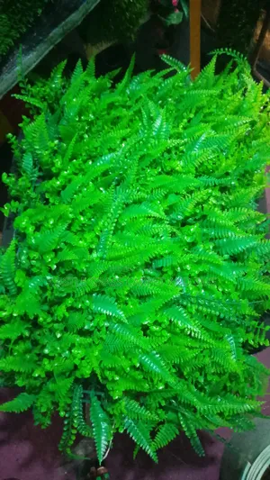 Artificial Flower