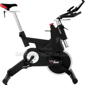 Sb900-2020 Spin Bike 2020 Model (Solefitness Brand)