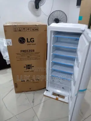 Lg 168l Freezer for Restaurant Storage