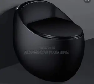Sleek, Black Egg-Shaped One-Piece Toilet