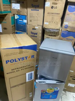 Polystar Pv-Dd250dl 250l Refrigerator Overview