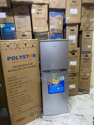 Polystar Double Compartment Fridge 250l Pv-Dd250dl