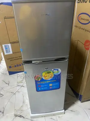 Polystar Pv-Dd250dl Double Door 250l Storage Fridge