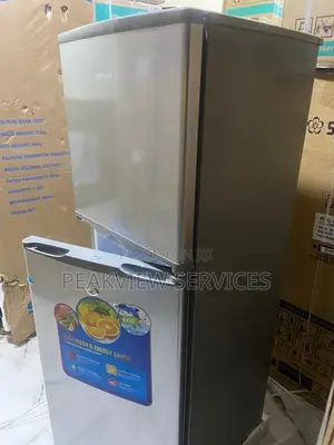 250l Polystar Refrigerator Pv-Dd250dl Twin Access
