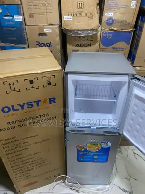 Polystar Pv-Dd250dl Twin Section Fridge 250l