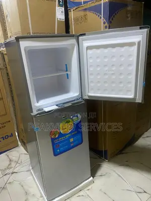 Pv-Dd250dl Polystar Fridge 250l Double Storage