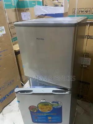 Polystar 250l Refrigerator With Top Freezer Pv-Dd250dl