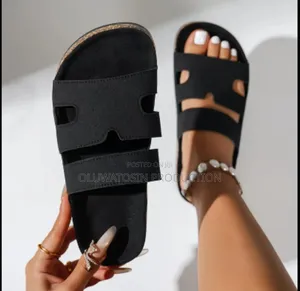 Birkenstock Slides