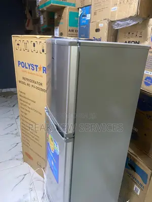 Polystar Pv-Dd250dl 250l Household Refrigerator