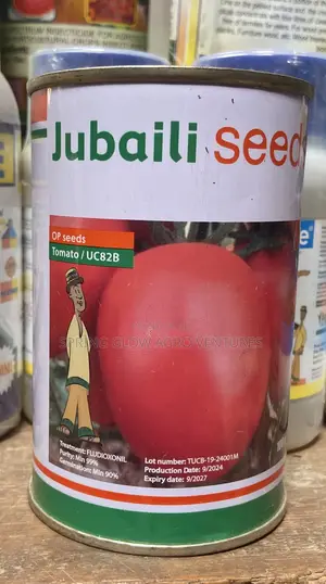 Planting Seed