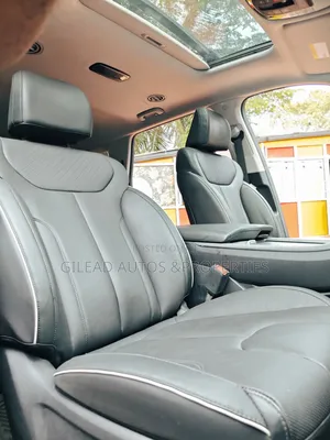 Hyundai Palisade XRT 2024 Gray