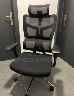 Ergonomy Net Office Chair