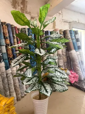 So Nice Flower