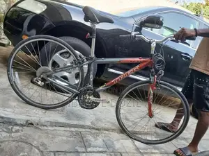 Adult Bicycles