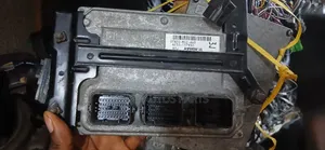Brainbox Honda Accord 2008-2010