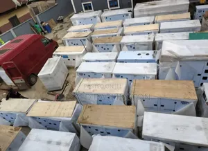 Brand New Perkins Soundproof Generators