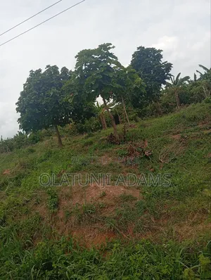 8000acres of Farmland at Ikoyi