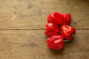Habanero Pepper