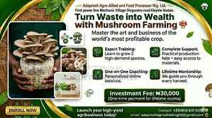 Mushroom Training