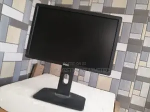 Dell P1913 Monitor Screen