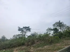 Strategic 200 Acres on Tarred Road at Ajeebo Near Lag-Ibadan Express