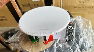 Single Bluetooth With Remote Controller