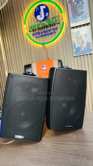 Tundra Hanging Speakers Indoors/Outdoors Speakers