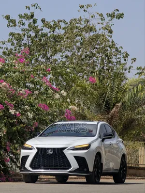 Lexus NX 2022 White
