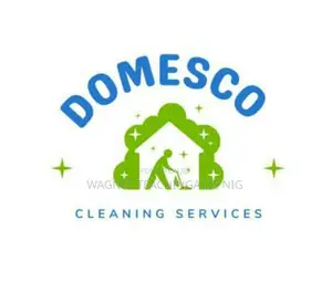 Professional Cleaning Service In Abuja