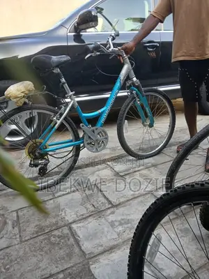 Standard Bicycles