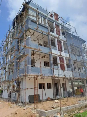 Exterior and Interior Wall Screeding and Wall Painting