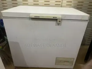 Deep Freezer 250litre